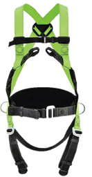 [A4AC] ARNES DE 4 ARGOLLAS CON CINTURON